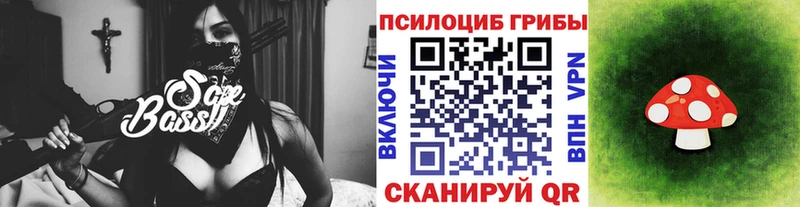 где купить   Жердевка  Галлюциногенные грибы GOLDEN TEACHER 